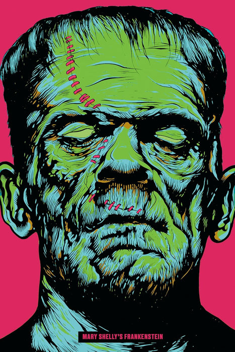 Frankenstein HC
