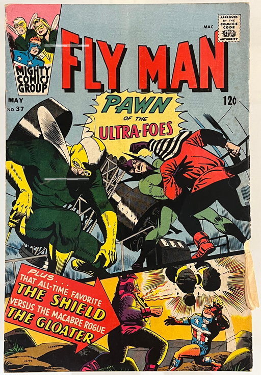 Fly Man #37