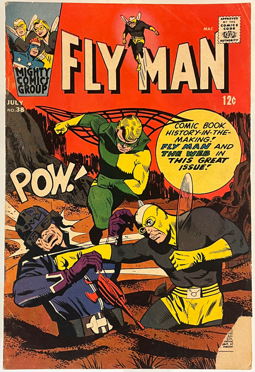 Fly Man #38